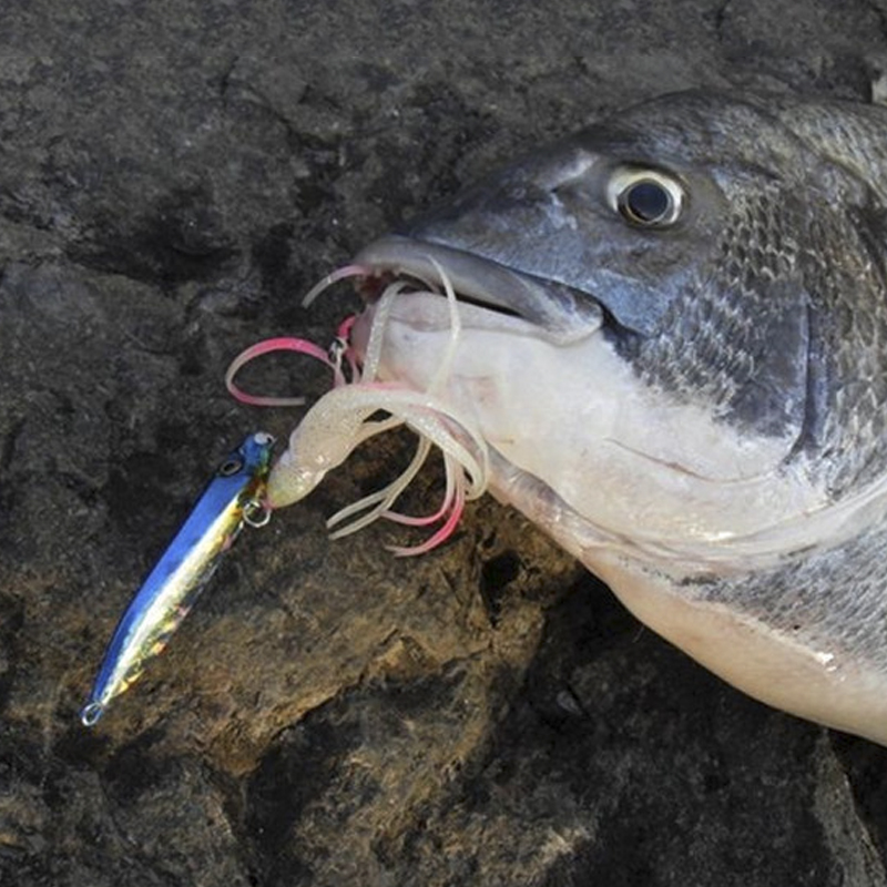 OBSESSION J25 Inchiku Calamari - Fishing Lure Buzzbait recensione e prezzo
