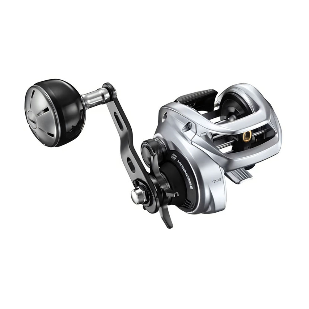 Mulinello da Pesca SHIMANO TRA - Daiwa Reel Bg recensione e prezzo